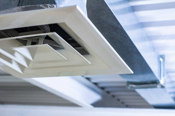 Air Duct Mold Removal in Vaiden, MS